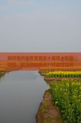如何组织自贡至西安大雁塔大型旅游团，解决游客痛点，打造沉浸式旅游新体验？