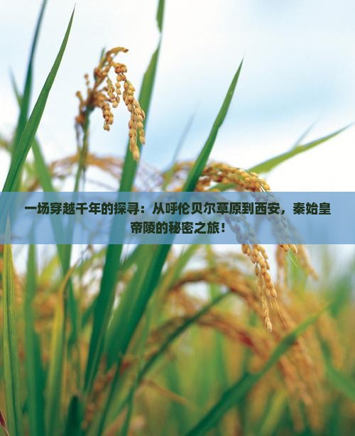 一场穿越千年的探寻：从呼伦贝尔草原到西安，秦始皇帝陵的秘密之旅！