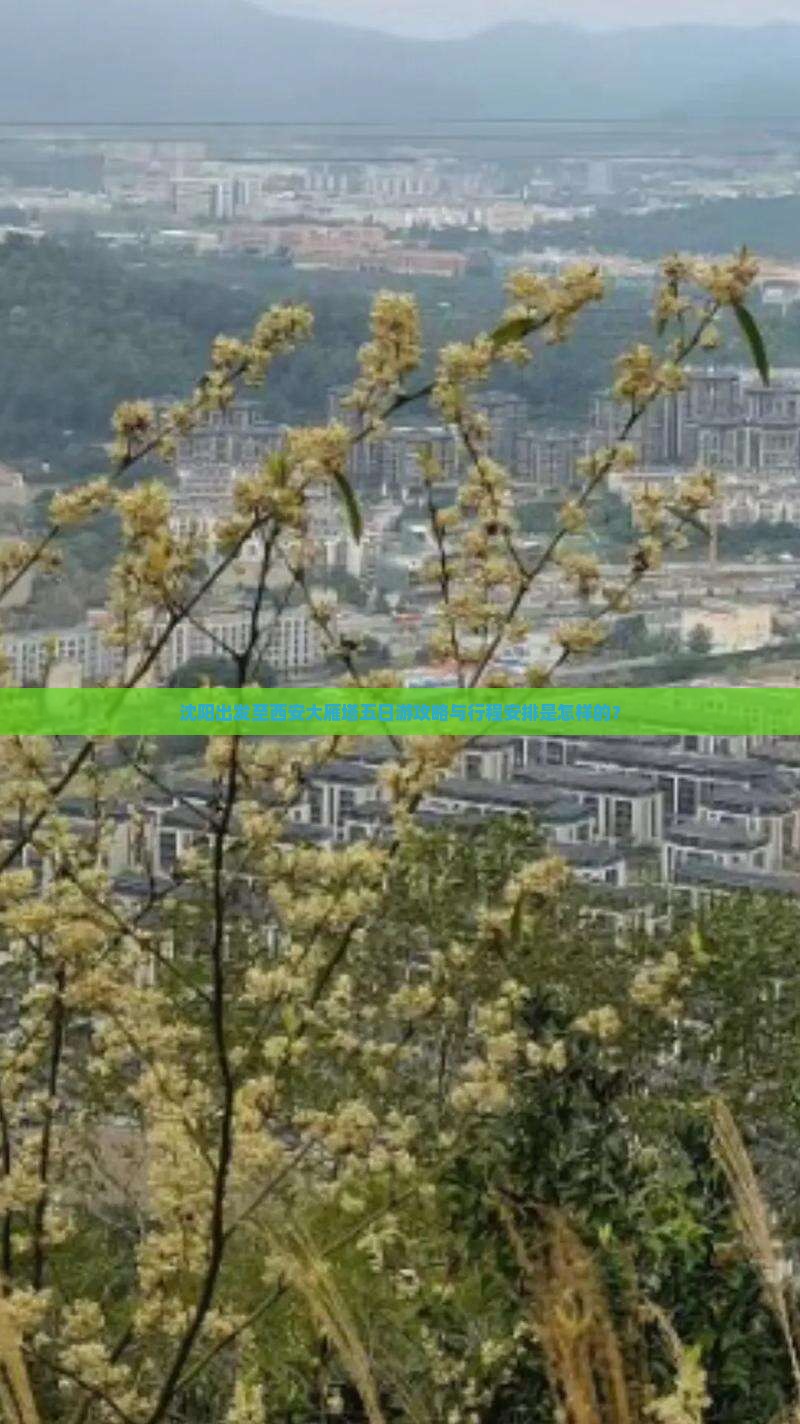 沈阳出发至西安大雁塔五日游攻略与行程安排是怎样的？