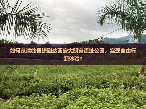 如何从清徐便捷到达西安大明宫遗址公园，实现自由行新体验？