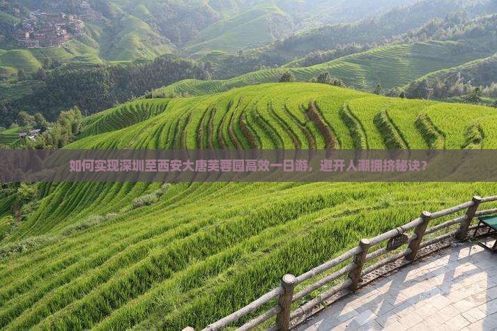 如何实现深圳至西安大唐芙蓉园高效一日游，避开人潮拥挤秘诀？