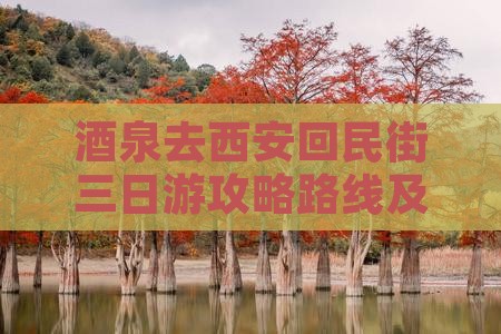 酒泉去西安回民街三日游攻略路线及花费指南 酒泉去西安回民街三日游攻略路线及花费指南