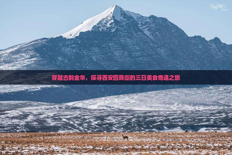 穿越古韵金华,探寻西安回民街的三日美食奇遇之旅 穿越古韵金华,探寻西安回民街的三日美食奇遇之旅