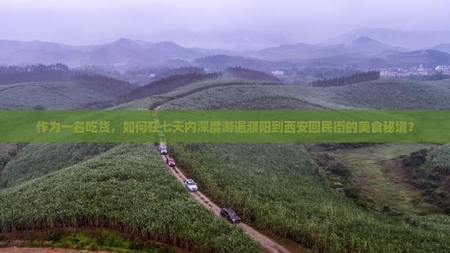 作为一名吃货,如何在七天内深度游遍濮阳到西安回民街的美食秘境? 作为一名吃货,如何在七天内深度游遍濮阳到西安回民街的美食秘境?