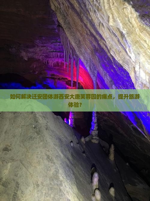 如何解决迁安团体游西安大唐芙蓉园的痛点，提升旅游体验？