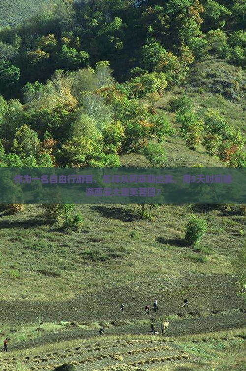 作为一名自由行游客，怎样从阿泰勒出发，用5天时间畅游西安大唐芙蓉园？