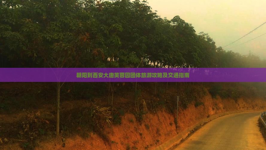 朝阳到西安大唐芙蓉园团体旅游攻略及交通指南