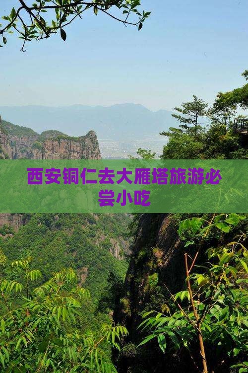 西安铜仁去大雁塔旅游必尝小吃