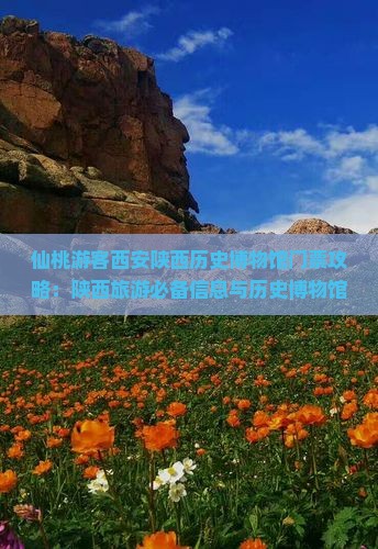 仙桃游客西安陕西历史博物馆门票攻略：陕西旅游必备信息与历史博物馆参观指南