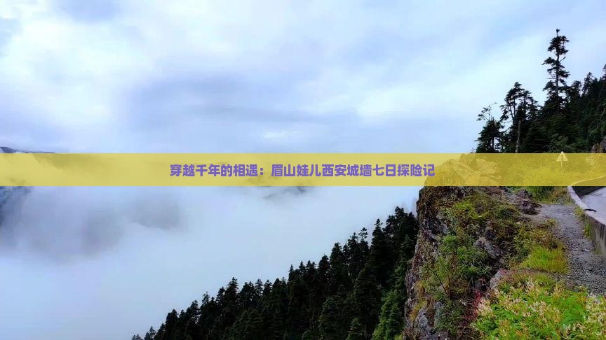 穿越千年的相遇：眉山娃儿西安城墙七日探险记