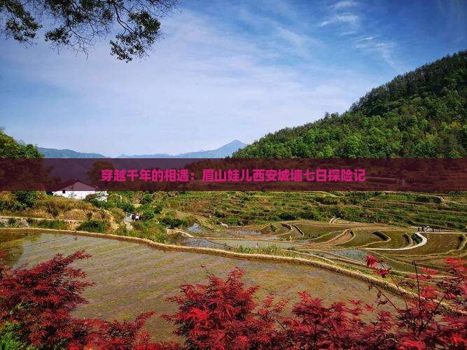 穿越千年的相遇：眉山娃儿西安城墙七日探险记