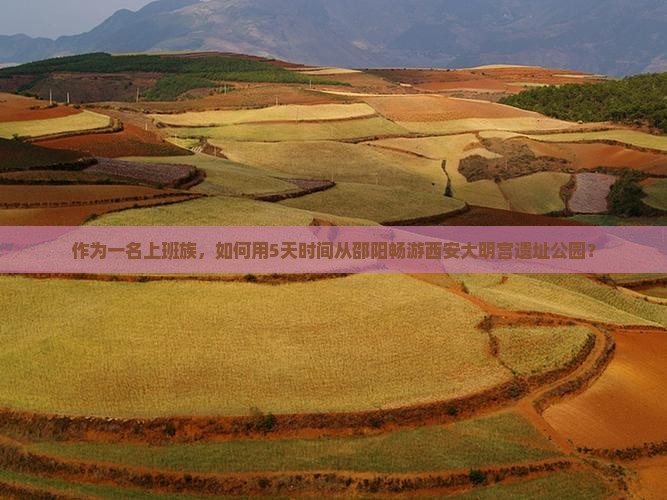 作为一名上班族，如何用5天时间从邵阳畅游西安大明宫遗址公园？