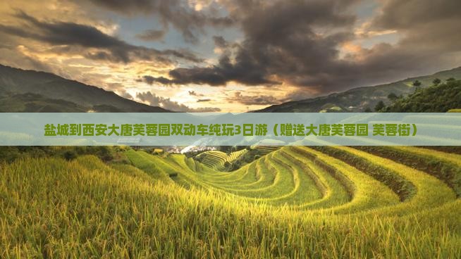 盐城到西安大唐芙蓉园双动车纯玩3日游（赠送大唐芙蓉园+芙蓉街）