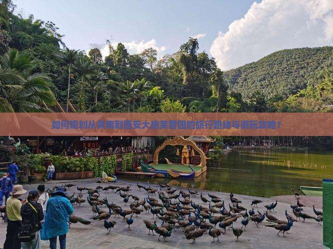 如何规划从黄南到西安大唐芙蓉园的旅行路线与游玩攻略？