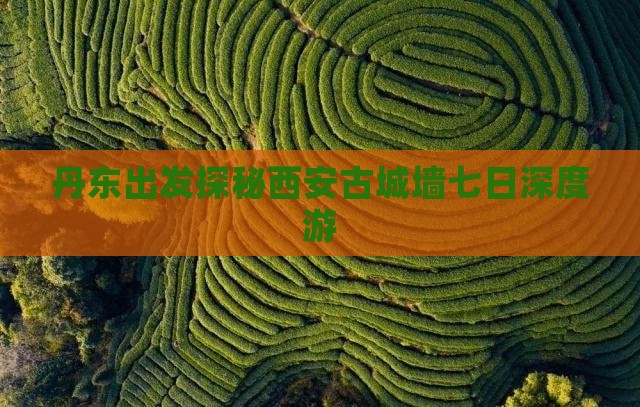 丹东出发探秘西安古城墙七日深度游