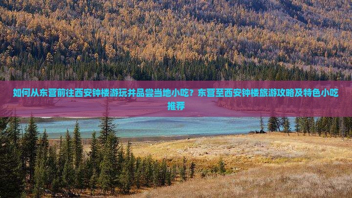 如何从东营前往西安钟楼游玩并品尝当地小吃？东营至西安钟楼旅游攻略及特色小吃推荐