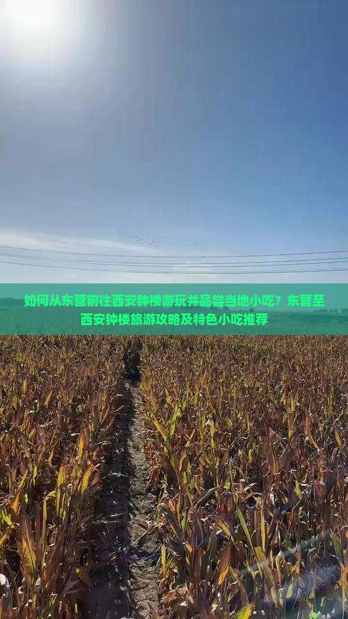 如何从东营前往西安钟楼游玩并品尝当地小吃？东营至西安钟楼旅游攻略及特色小吃推荐