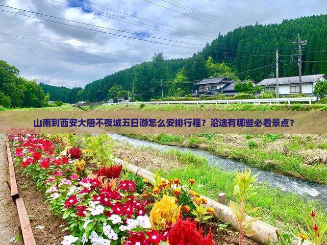 山南到西安大唐不夜城五日游怎么安排行程？沿途有哪些必看景点？