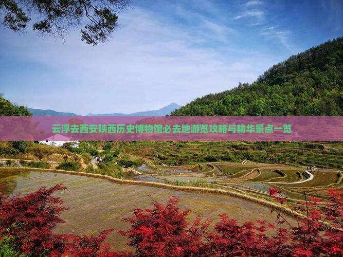 云浮去西安陕西历史博物馆必去地游览攻略与精华景点一览