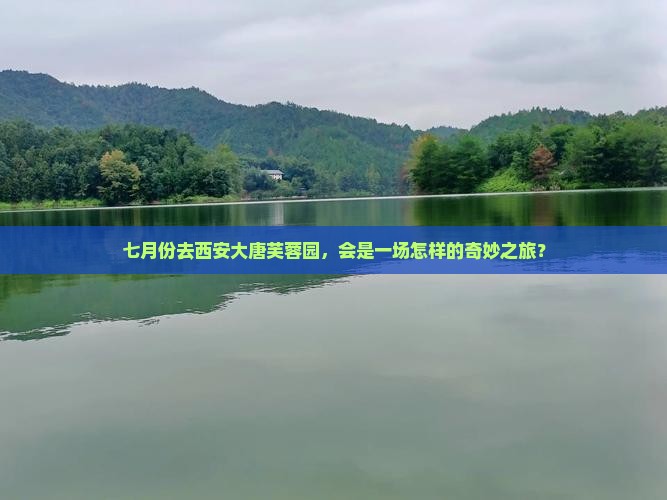 七月份去西安大唐芙蓉园，会是一场怎样的奇妙之旅？
