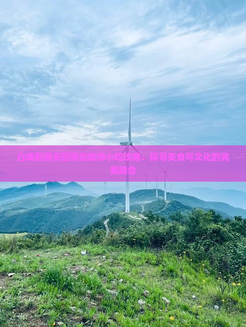 白城到西安回民街旅游小吃攻略：探寻美食与文化的完美融合