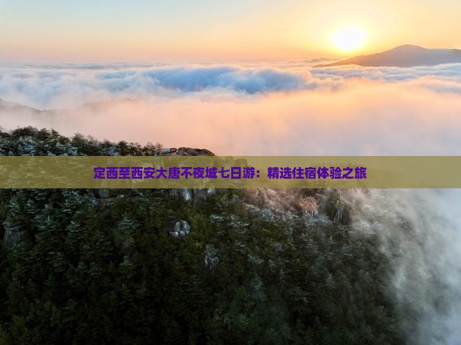 定西至西安大唐不夜城七日游：精选住宿体验之旅