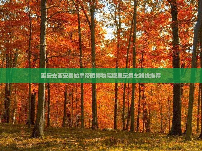 延安去西安秦始皇帝陵博物院哪里玩乘车路线推荐