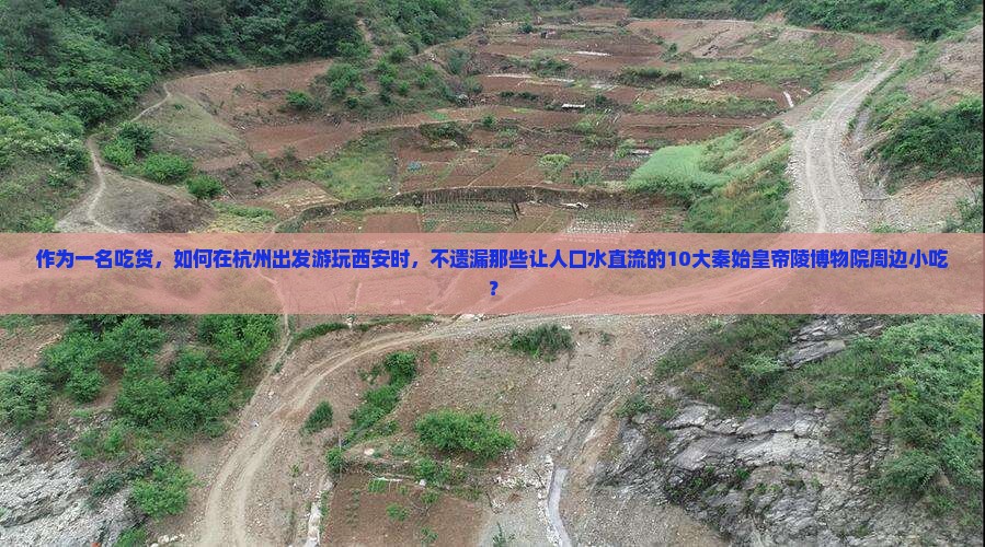 作为一名吃货，如何在杭州出发游玩西安时，不遗漏那些让人口水直流的10大秦始皇帝陵博物院周边小吃？