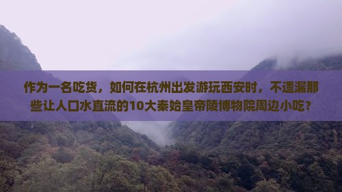 作为一名吃货，如何在杭州出发游玩西安时，不遗漏那些让人口水直流的10大秦始皇帝陵博物院周边小吃？
