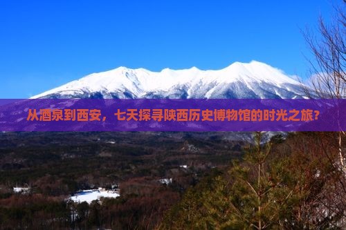 从酒泉到西安，七天探寻陕西历史博物馆的时光之旅？