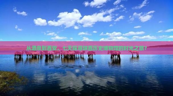 从酒泉到西安，七天探寻陕西历史博物馆的时光之旅？