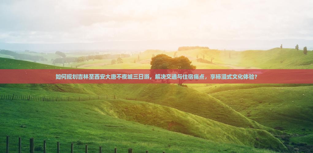 如何规划吉林至西安大唐不夜城三日游，解决交通与住宿痛点，享柿浸式文化体验？