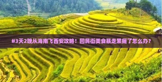 #3天2晚从海南飞西安攻略！回民街美食暴走累瘫了怎么办？