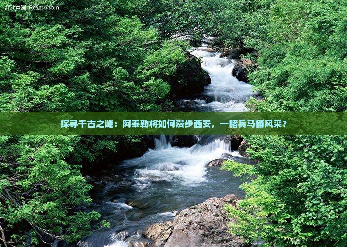 探寻千古之谜：阿泰勒将如何漫步西安，一睹兵马俑风采？