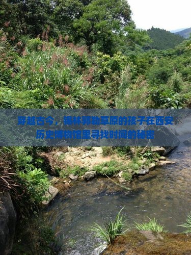 穿越古今，锡林郭勒草原的孩子在西安历史博物馆里寻找时间的秘密