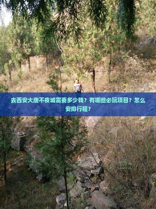 去西安大唐不夜城需要多少钱？有哪些必玩项目？怎么安排行程？