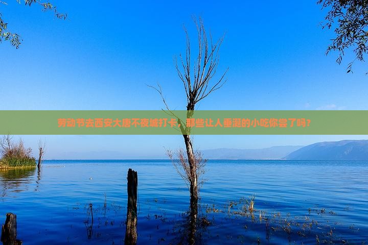 劳动节去西安大唐不夜城打卡，那些让人垂涎的小吃你尝了吗？