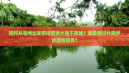 如何从亳州出发前往西安大唐不夜城？哪些旅行社提供该路线服务？