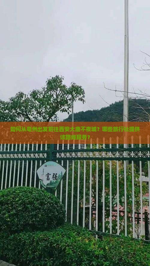 如何从亳州出发前往西安大唐不夜城？哪些旅行社提供该路线服务？