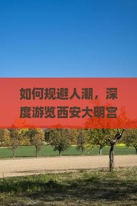 如何规避人潮，深度游览西安大明宫遗址公园，秋季攻略有哪些新玩法与痛点解决方案？