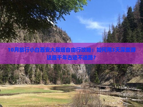 10月旅行小白西安大雁塔自由行攻略：如何用3天深度游这座千年古迹不迷路？