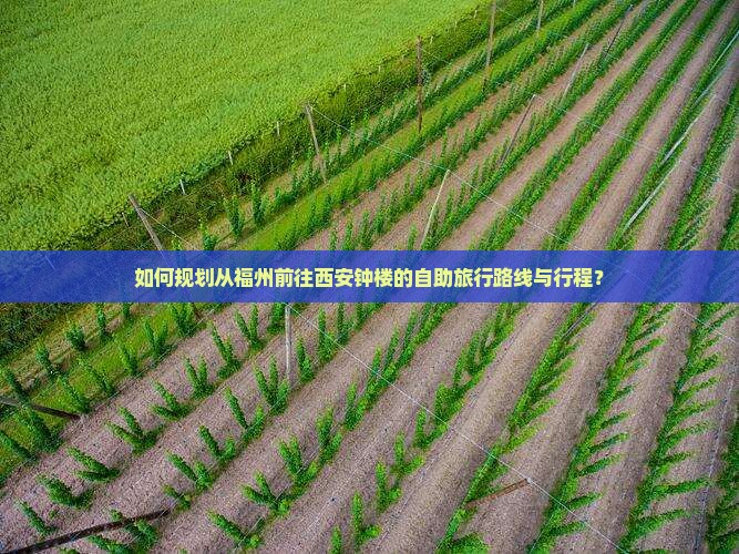 如何规划从福州前往西安钟楼的自助旅行路线与行程？