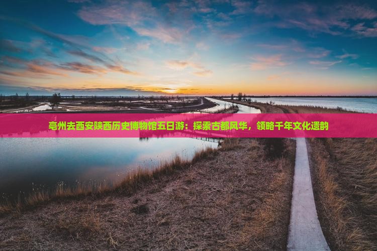 亳州去西安陕西历史博物馆五日游：探索古都风华，领略千年文化遗韵