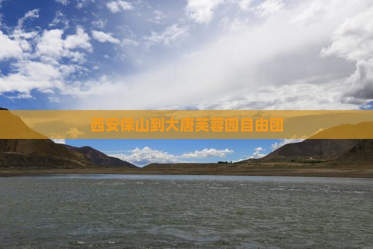 西安保山到大唐芙蓉园自由团