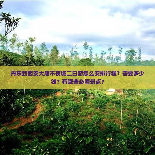 丹东到西安大唐不夜城二日游怎么安排行程？需要多少钱？有哪些必看景点？