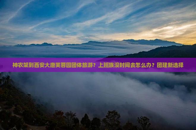 神农架到西安大唐芙蓉园团体旅游？上班族没时间去怎么办？团建新选择