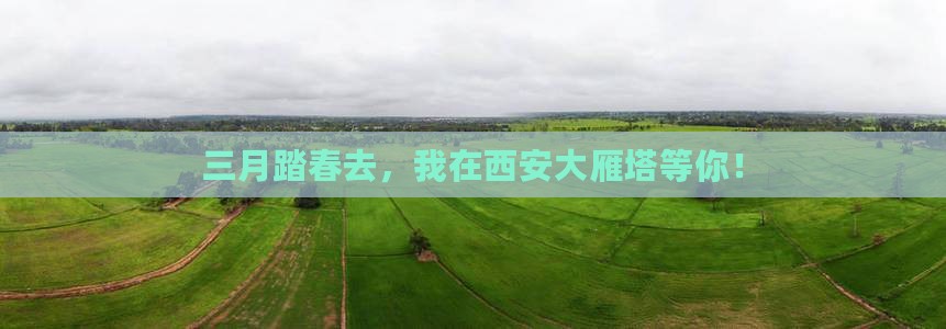 三月踏春去，我在西安大雁塔等你！