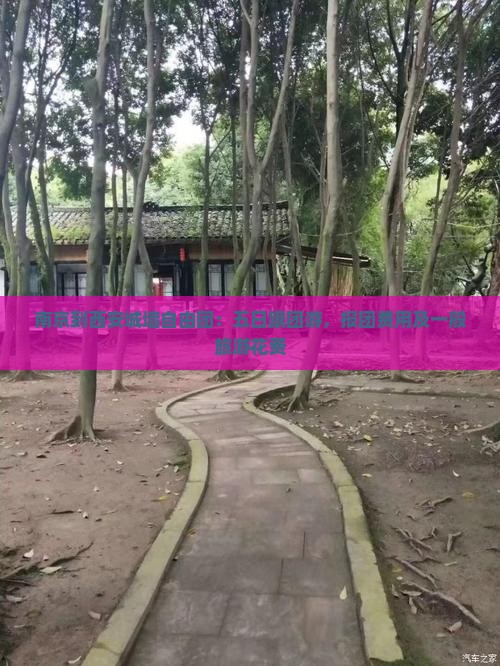 南京到西安城墙自由团：五日跟团游，报团费用及一般旅游花费