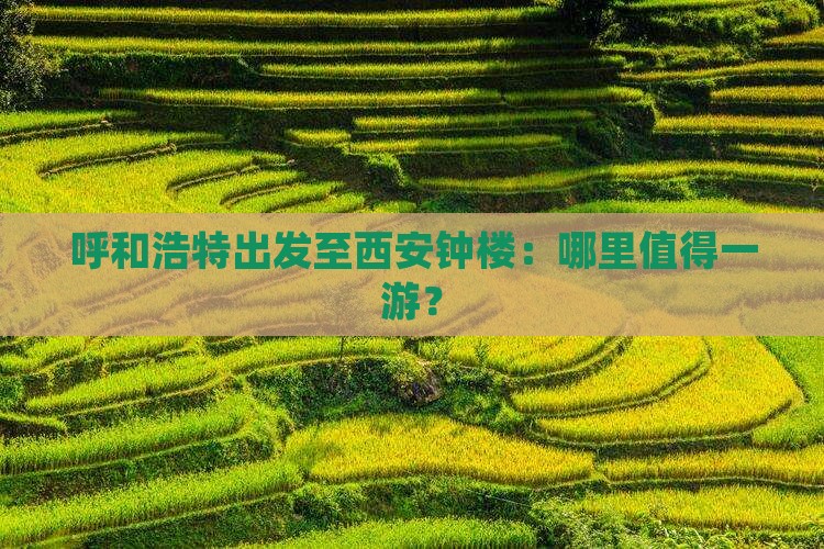 呼和浩特出发至西安钟楼：哪里值得一游？