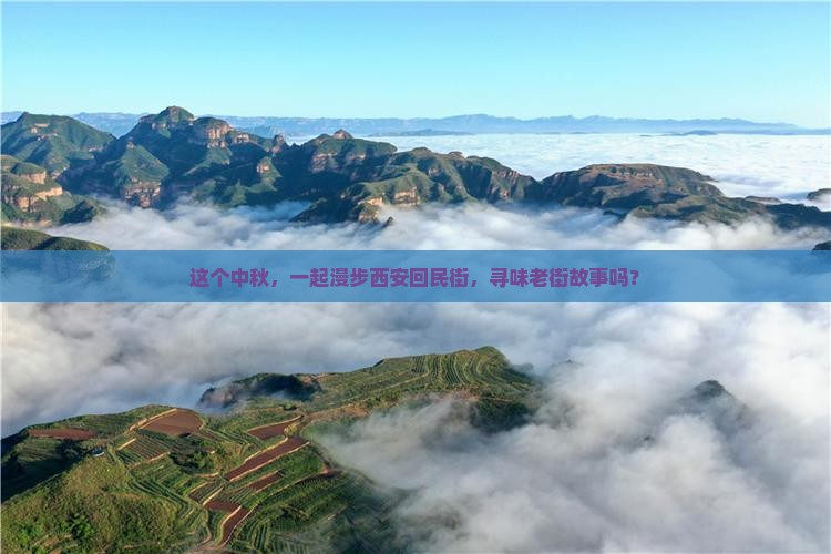 中秋节去西安回民街自由团